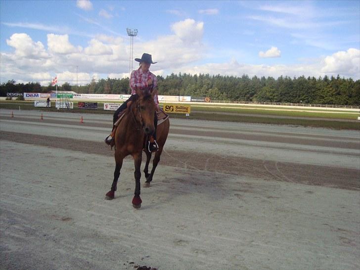 Skive travbane billede 235