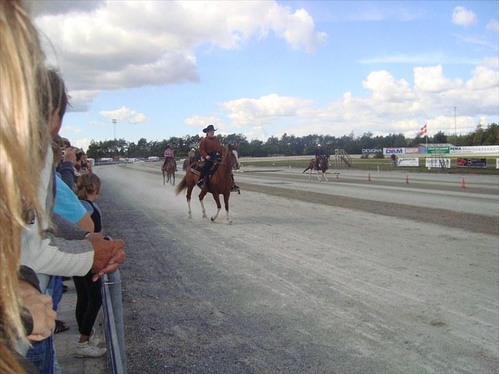 Skive travbane billede 237