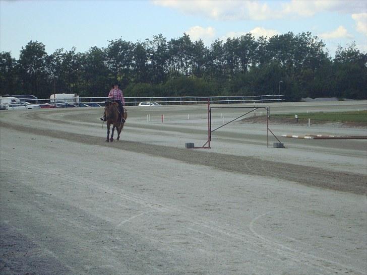 Skive travbane billede 239