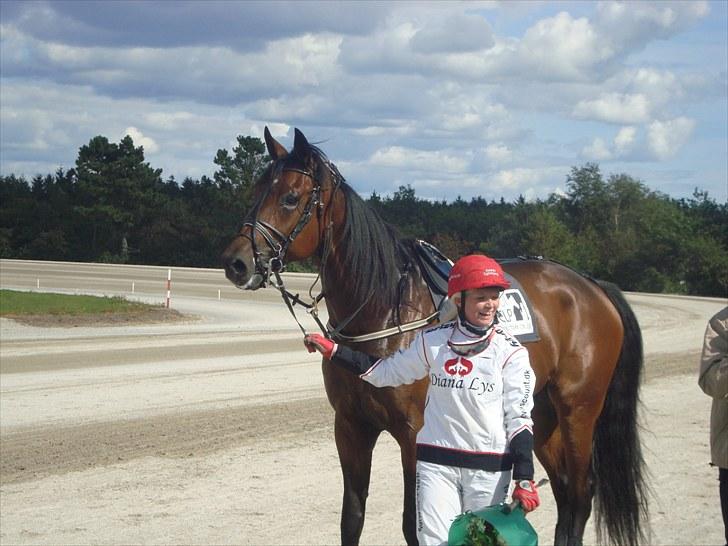 Skive travbane billede 241