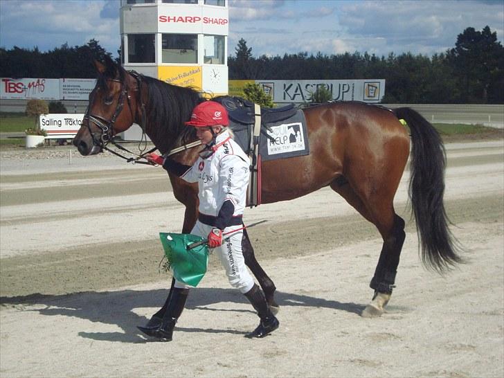 Skive travbane billede 245