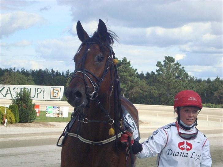 Skive travbane billede 248