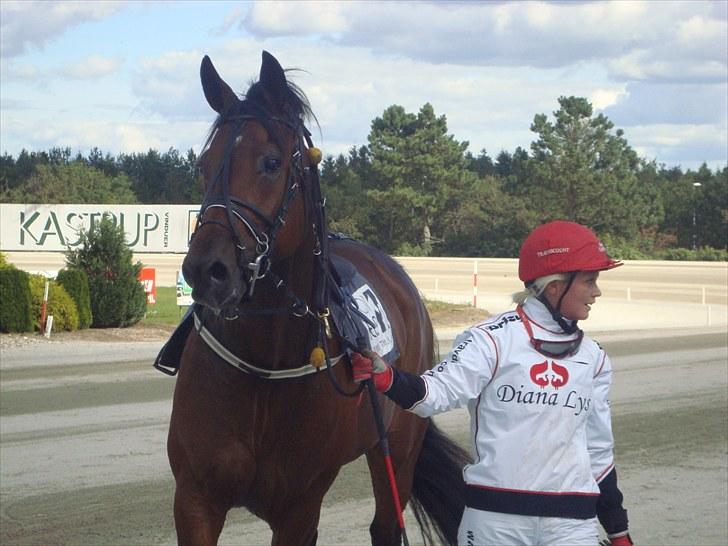 Skive travbane billede 249