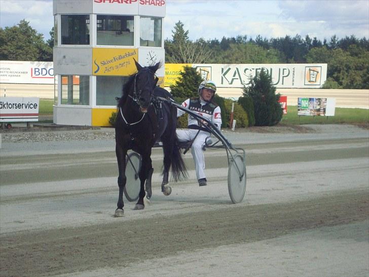 Skive travbane billede 250