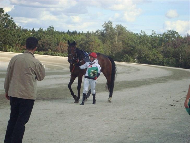 Skive travbane billede 251