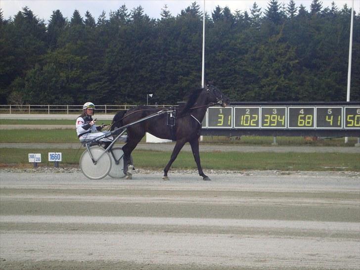 Skive travbane billede 253