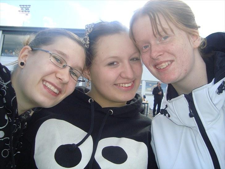 Skive travbane billede 254