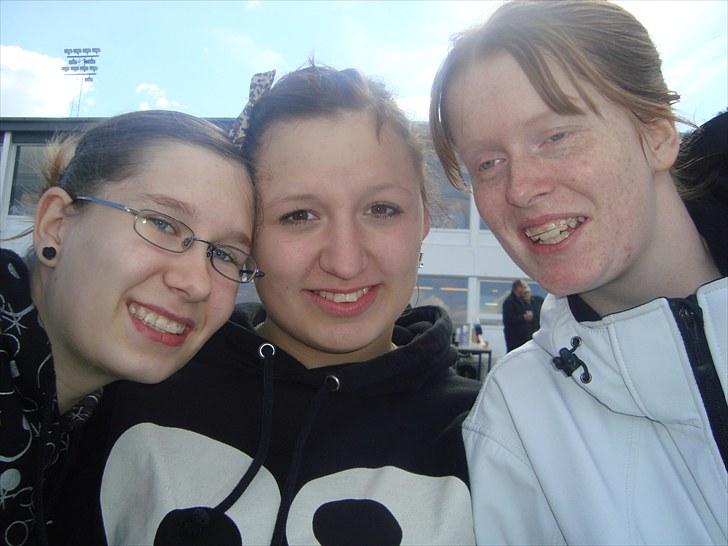 Skive travbane billede 255