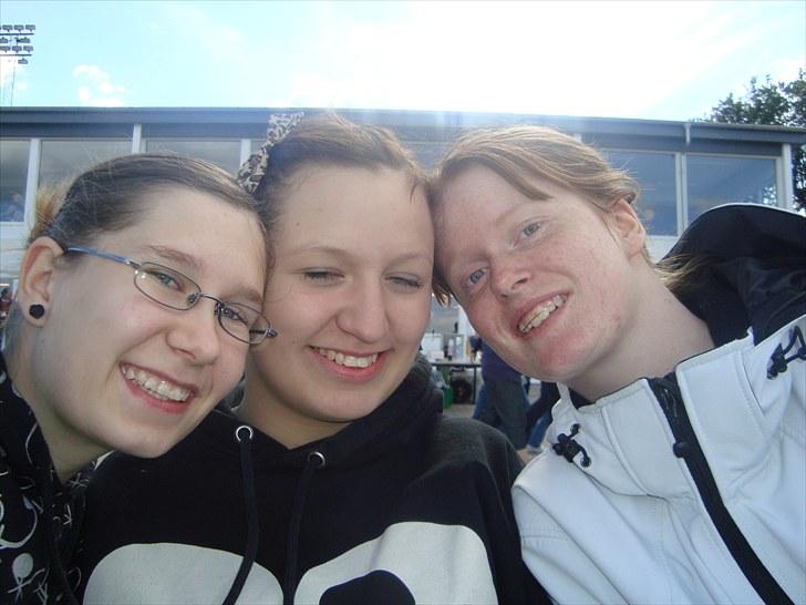 Skive travbane billede 256