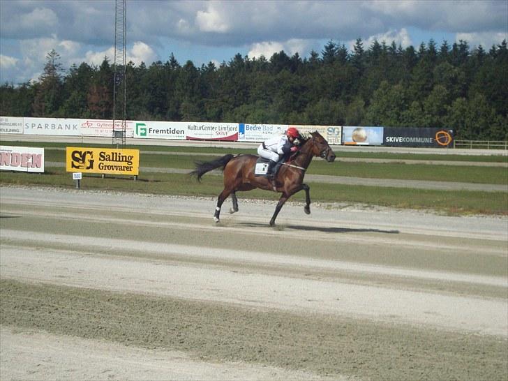 Skive travbane billede 259