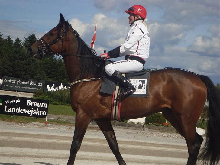 Skive travbane billede 262