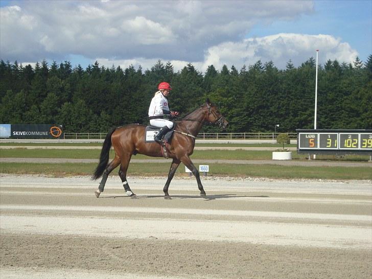 Skive travbane billede 266