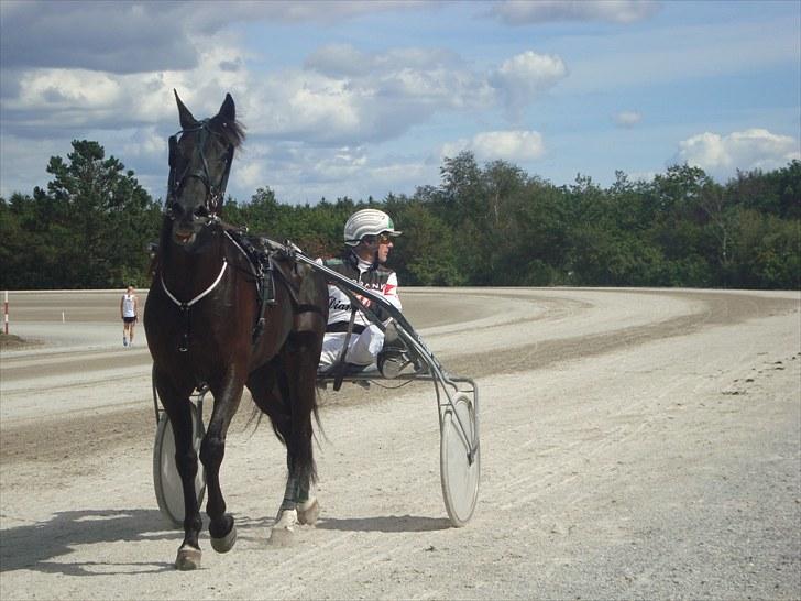 Skive travbane billede 268