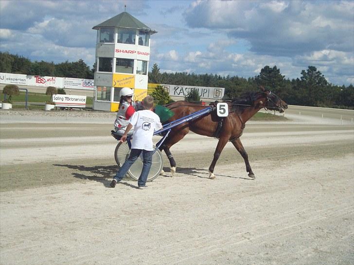 Skive travbane billede 274