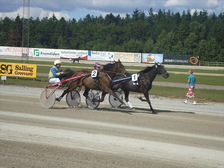 Skive travbane billede 278