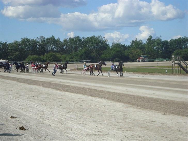 Skive travbane billede 279