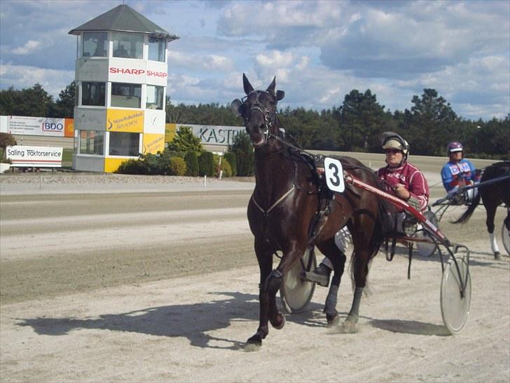 Skive travbane billede 280