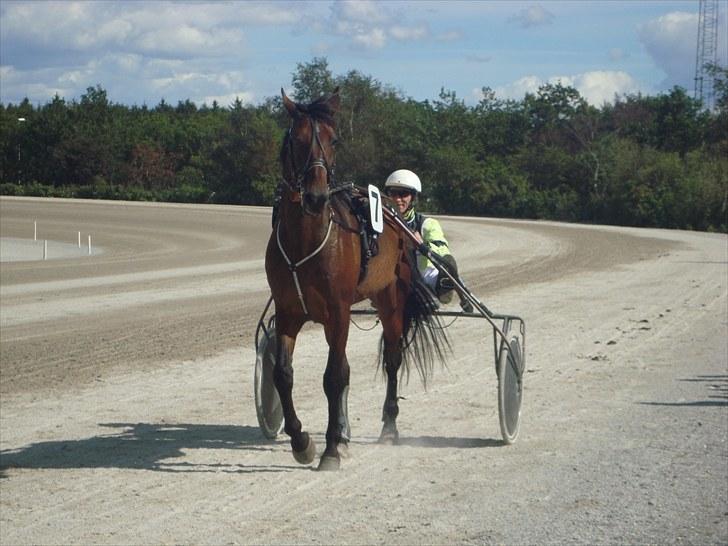 Skive travbane billede 284