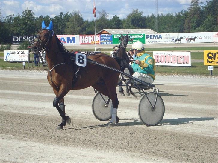 Skive travbane billede 285