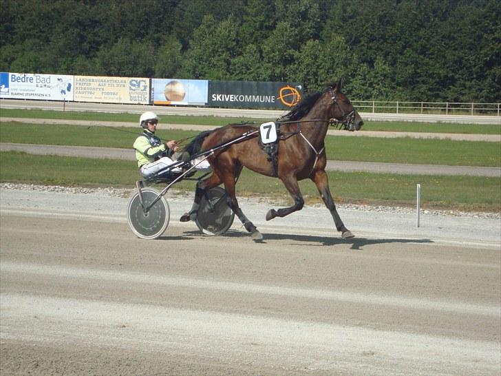 Skive travbane billede 286