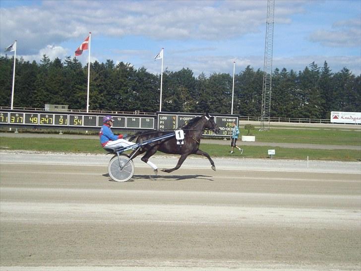 Skive travbane billede 289