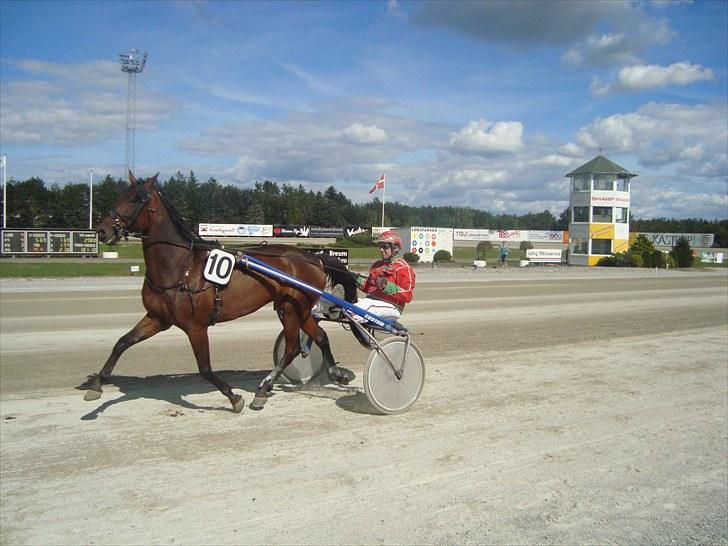 Skive travbane billede 291