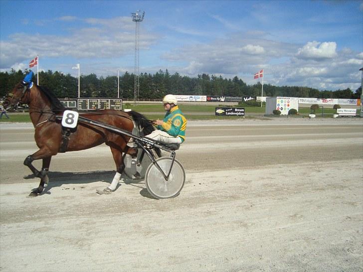 Skive travbane billede 292