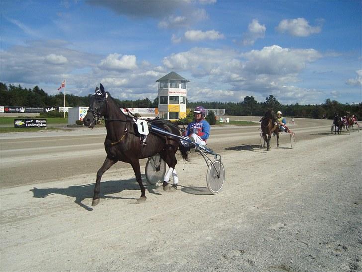 Skive travbane billede 293