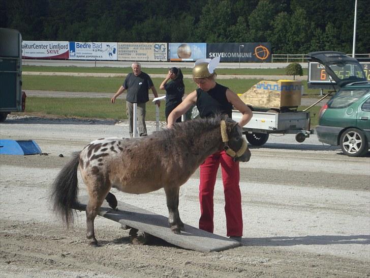 Skive travbane billede 302