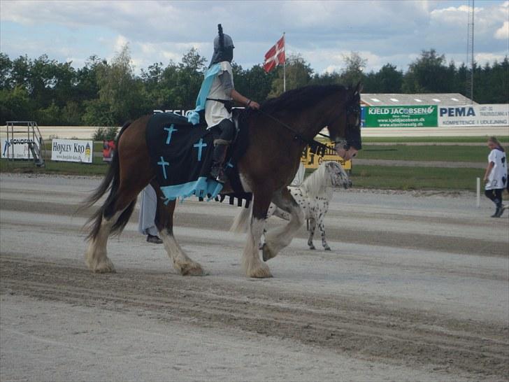 Skive travbane billede 306