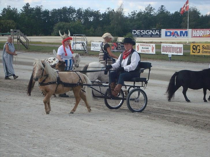 Skive travbane billede 309