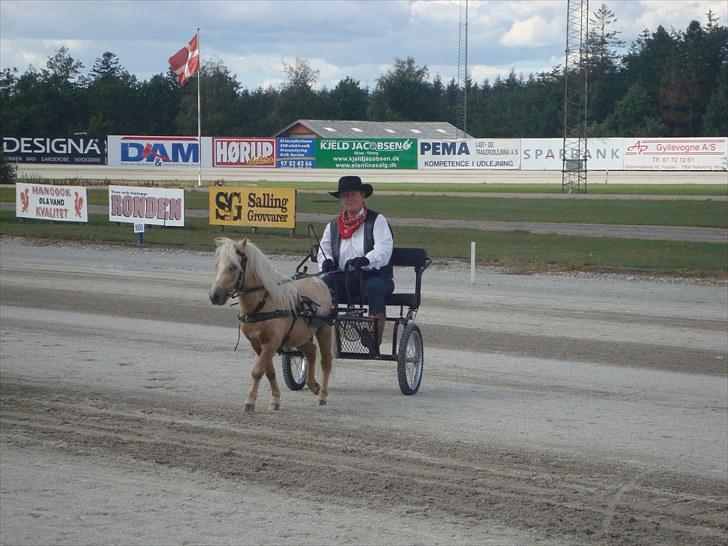 Skive travbane billede 310