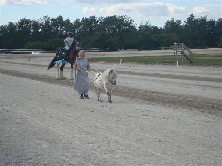 Skive travbane billede 312