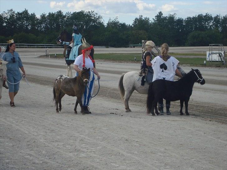 Skive travbane billede 313