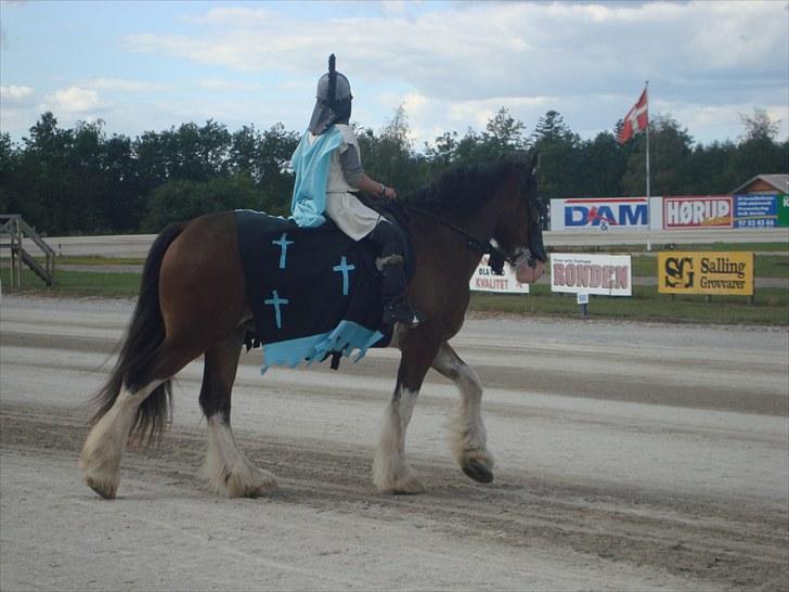 Skive travbane billede 315