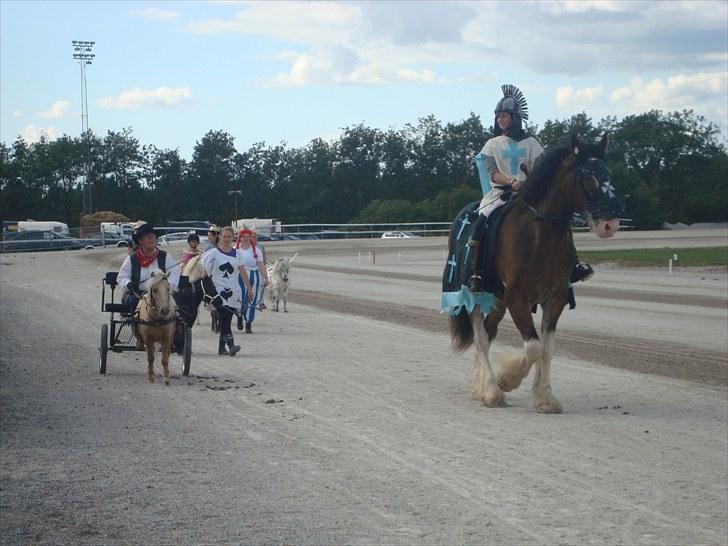 Skive travbane billede 316