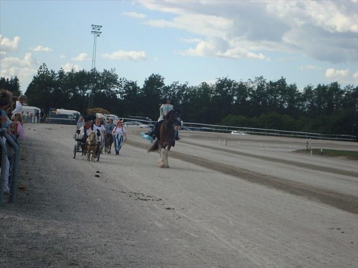 Skive travbane billede 317