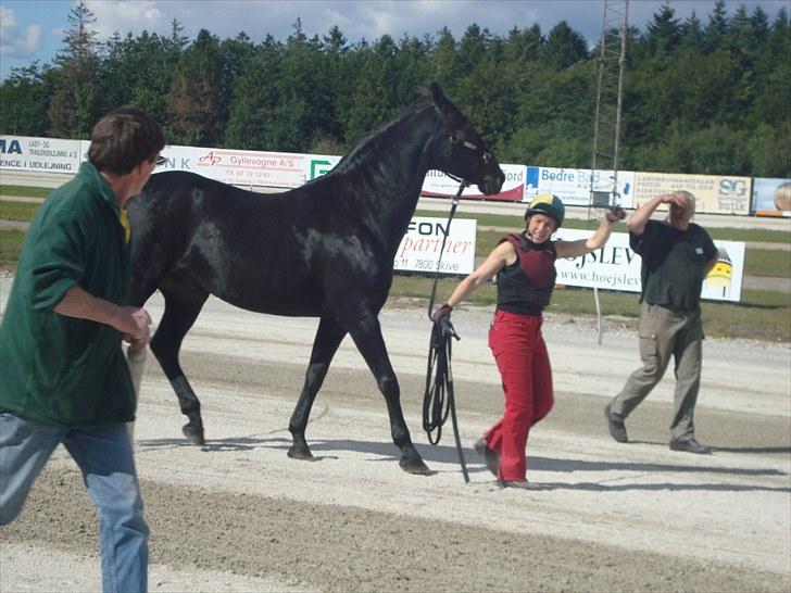 Skive travbane billede 322