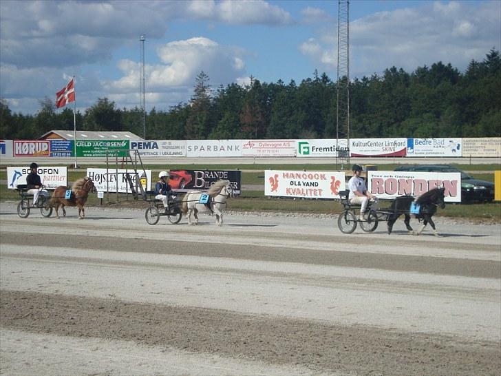 Skive travbane billede 332