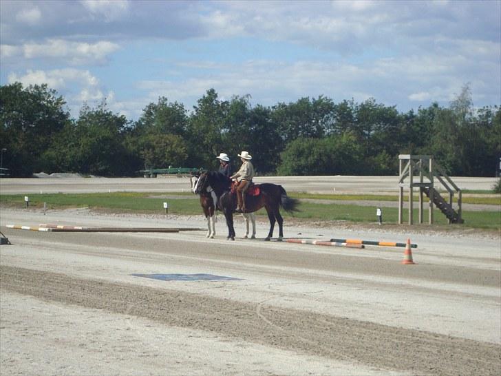 Skive travbane billede 334