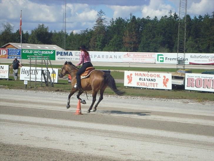 Skive travbane billede 335