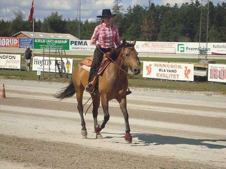 Skive travbane billede 337