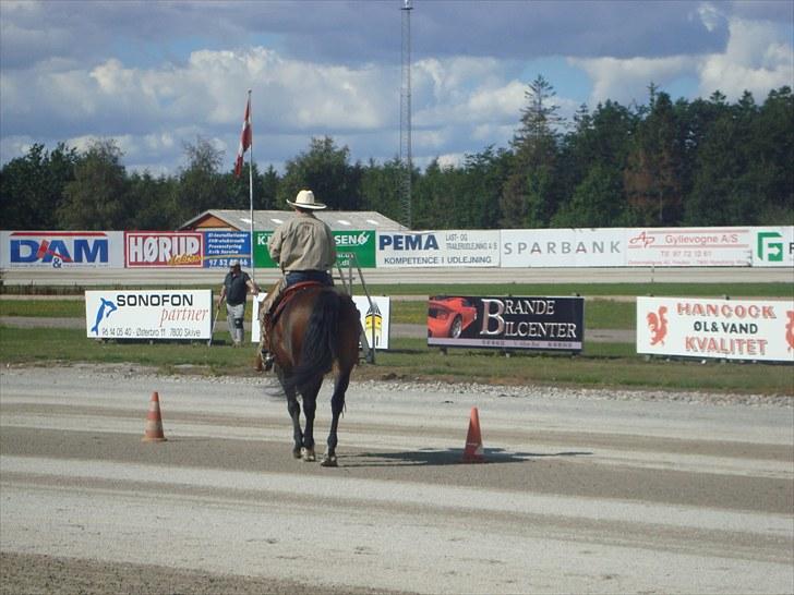 Skive travbane billede 339