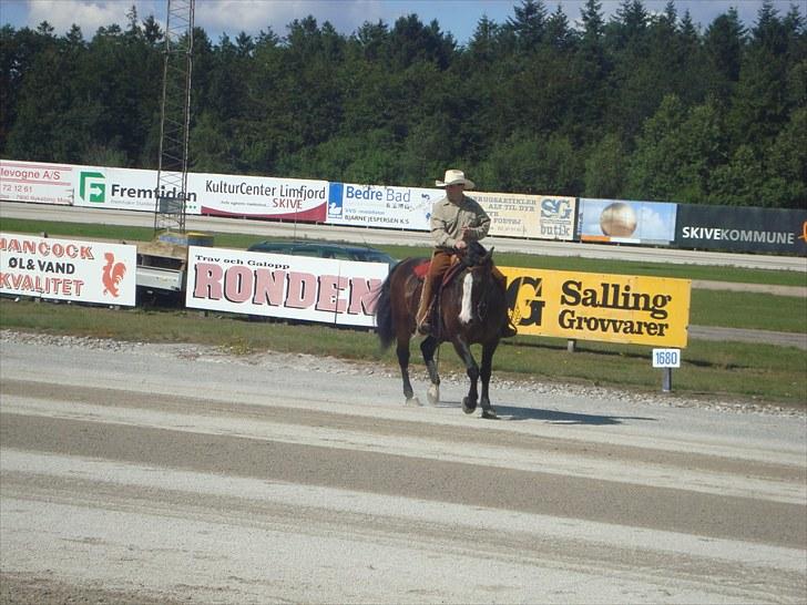 Skive travbane billede 340