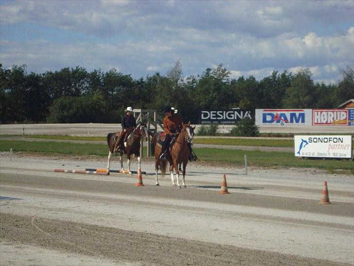 Skive travbane billede 341