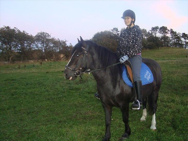 Skive travbane billede 345