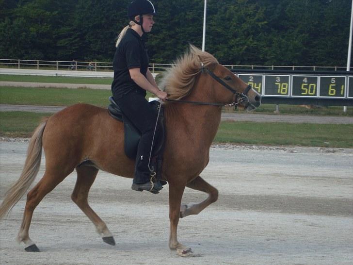 Skive travbane billede 348