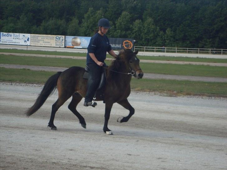 Skive travbane billede 349