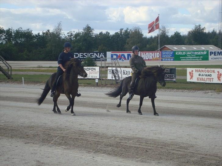 Skive travbane billede 350