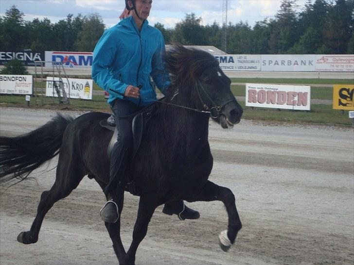 Skive travbane billede 351